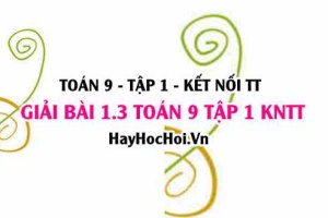 Giải 1.3 Toán 9 tập 1 SGK Kết nối tri thức